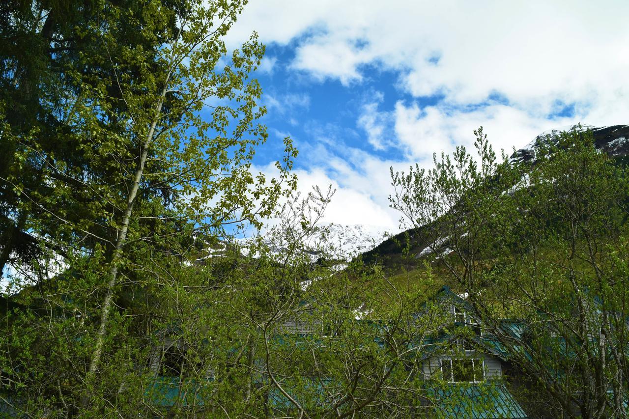 Snowbird Chalet #5 Girdwood Eksteriør billede